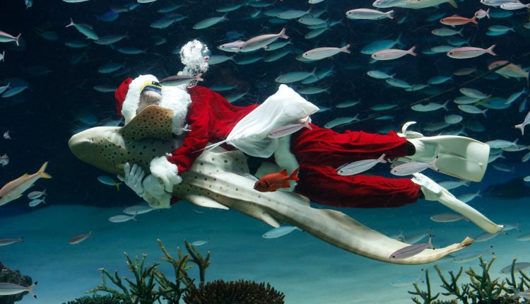 como-se-celebra-la-navidad-en-todo-el-mundo.jpg