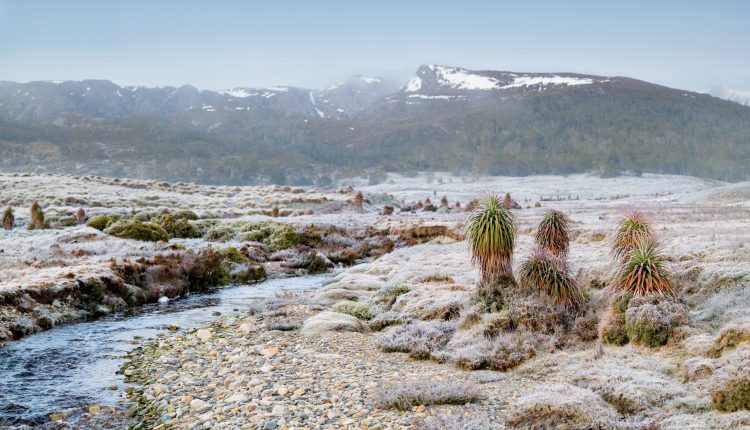 que-hace-que-tasmania-sea-el-sueno-de-un-amante-al-aire-libre.jpg