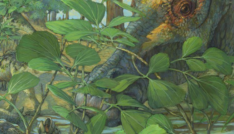 se-descubren-indicios-de-adn-fosil-en-el-craneo-de-un-dinosaurio.jpg