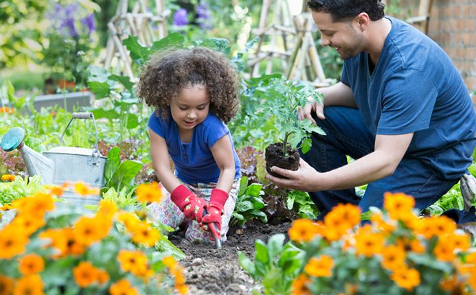 como-la-jardineria-puede-ensenar-a-los-ninos-habilidades-para-la-vida.jpg
