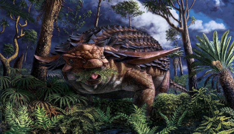 la-ultima-comida-del-dinosaurio-acorazado-conservada-con-asombrosos-detalles.jpg