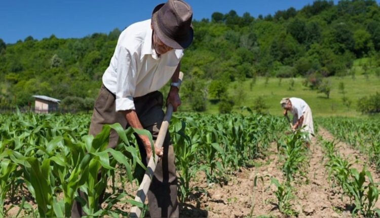 Agricultura y minería, los motores complementarios | Prensa Minera