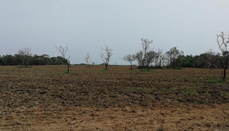 40 capturados en operativos contra la minería ilegal y deforestación