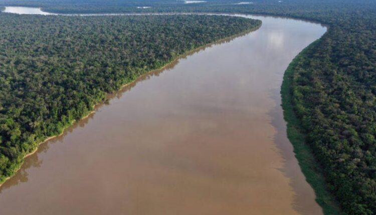 Instalan internet satelital para proteger reserva de Amazonía peruana