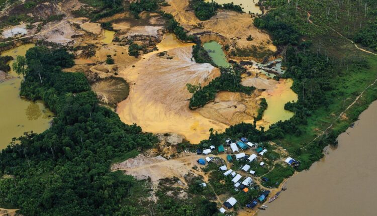 Minería ilegal en Brasil devastó 2.400 hectáreas de selva, según estudio