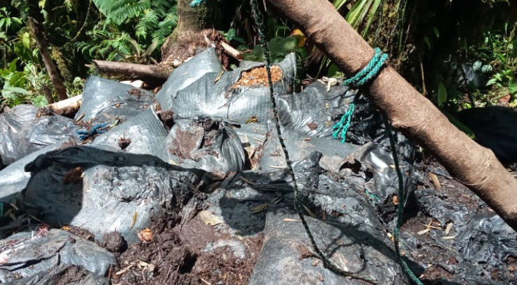 DECOMISAN MATERIAL ROCOSO EN LA PARROQUIA LA MERCED DE BUENOS AIRES