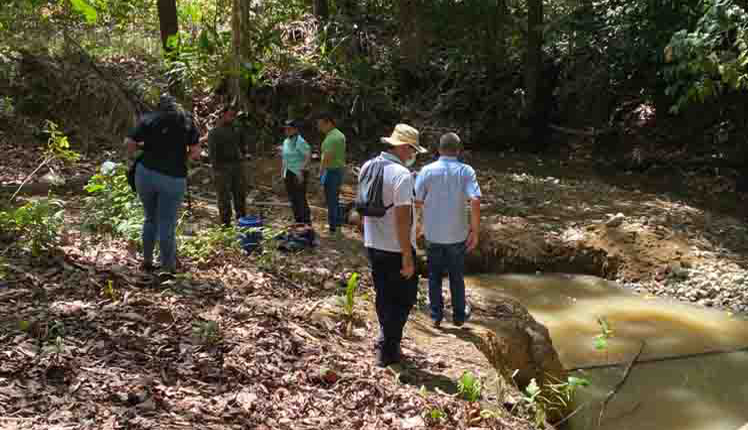 Detectan minería ilegal de oro en Panamá