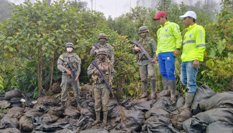 PERSONAL MILITAR ENCUENTRA MATERIAL MINERALIZADO EN ZONA MINERA DE IMBABURA