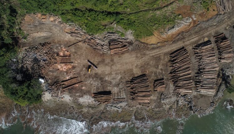 Acuerdo de $ 3 mil millones: Cómo China domina la minería, la tala y la pesca en el Pacífico | Islas del pacifico