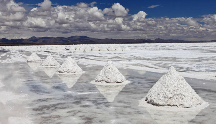 Argentina tendrá una planta de fabricación de baterías de litio