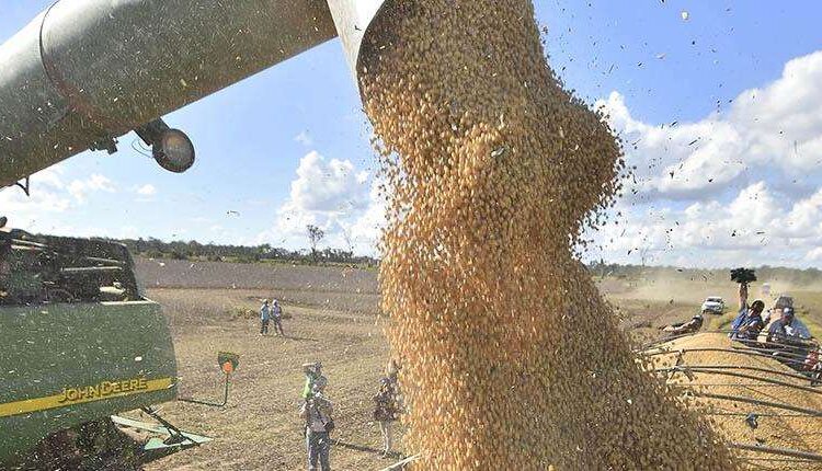 Exportaciones crecen impulsadas por el agro y la minería; la venta de gas sigue cayendo