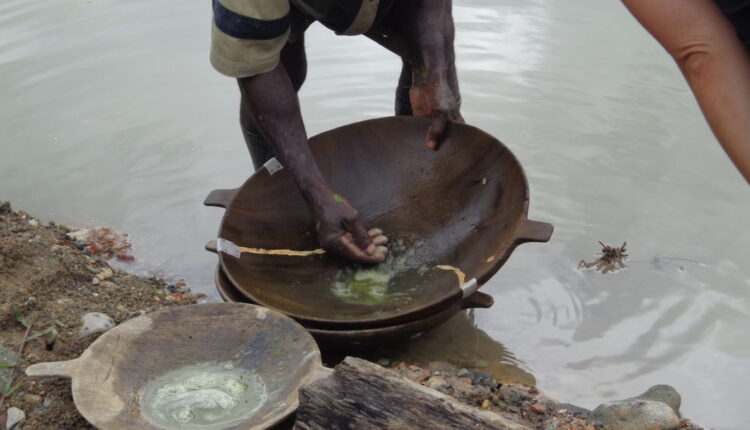 Minería ilegal y mercurio: veneno para la Amazonía venezolana