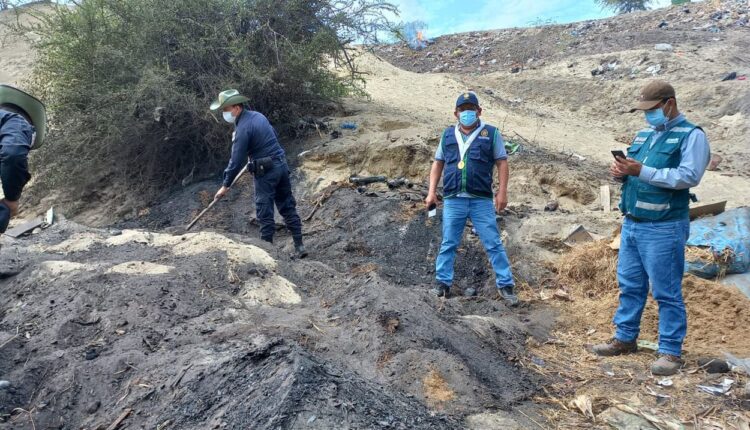 Piura: intervienen zona de procesamiento ilegal de carbón en Sullana