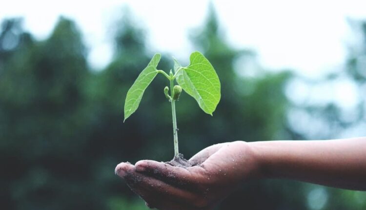 Transición ecológica en minería vital para el desarrollo sostenible