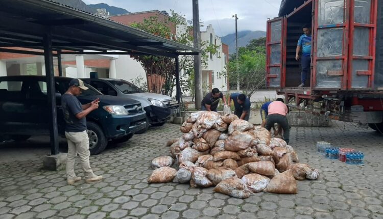 Incautan material mineralizado en casa abandonada en Imbabura