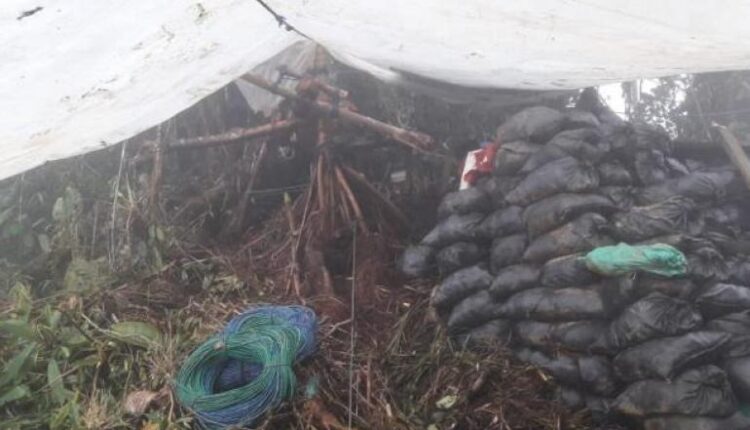 Continúa la minería ilegal en el Norte del Ecuador