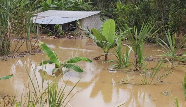 Minería ilegal causa inundaciones en Chamico