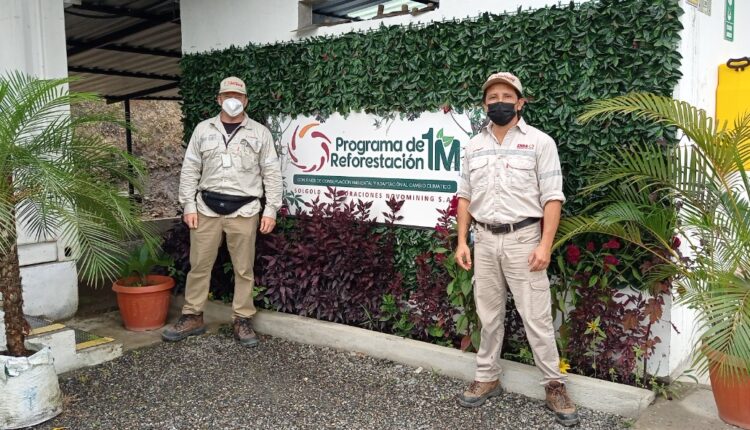 100 hectáreas reforestadas gracias al programa “Un Millón de Plantas” de SolGold