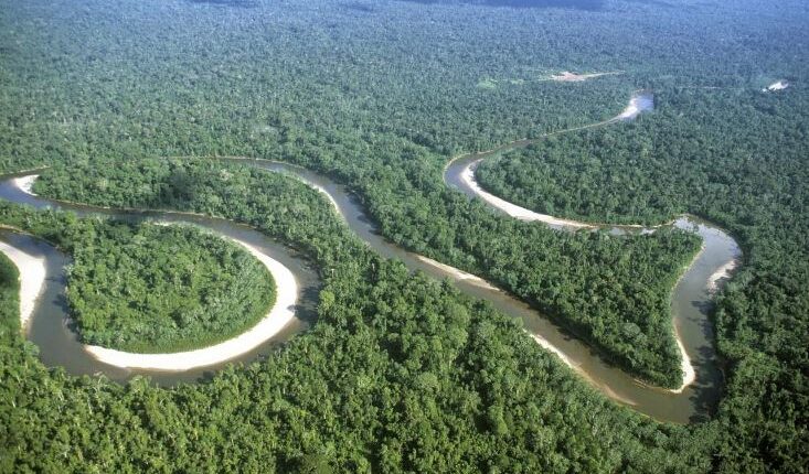 Parque Nacional Yasuní estará libre de explotación tras sentencia de la Corte Constitucional