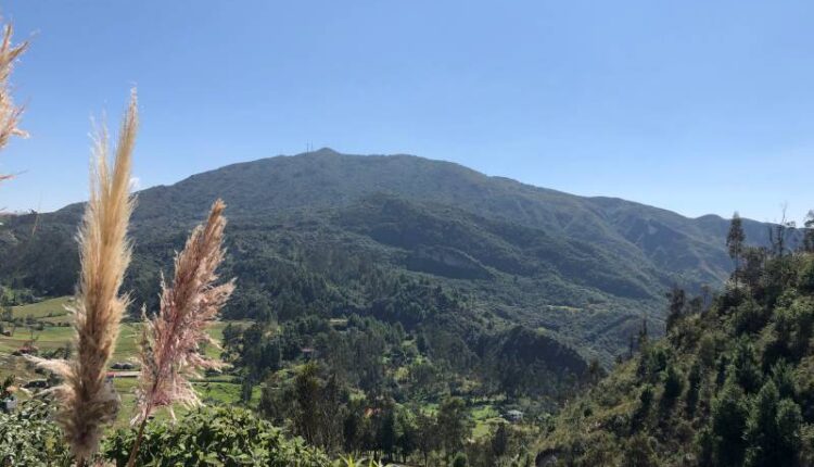 Proyecto minero Cangrejos se desarrolla en bosque natural Cerro Azul