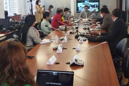 Comisión de Biodiversidad sesionó para debatir aspectos de la reforma de la ley de minería