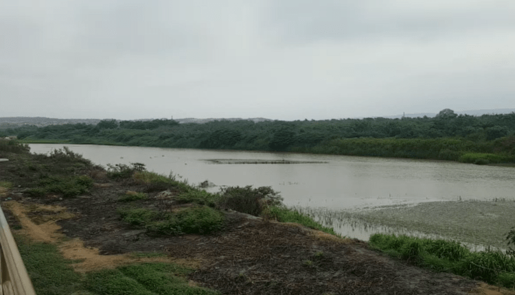 Río Puyango – Tumbes: Un afluente muerto por la avaricia de los ilegales