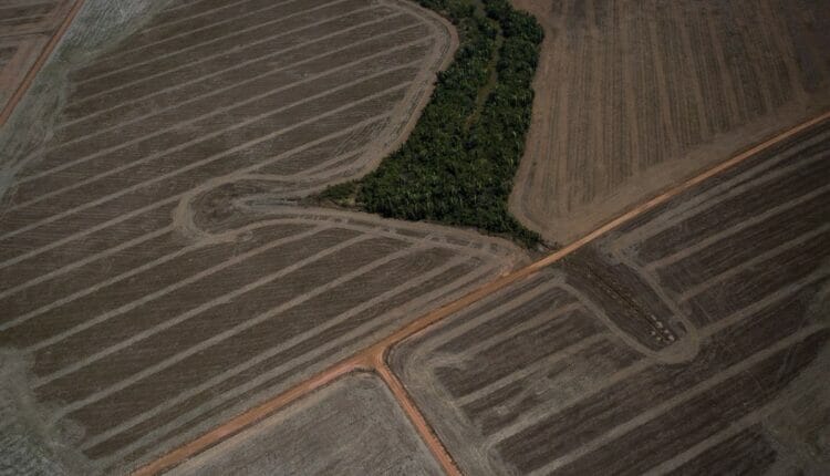 La Minería ilegal es uno de los cinco factores que amenazan la Amazonía