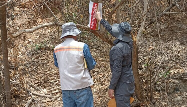 Loja destaca en el campeonato de la minería ilegal