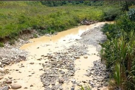 Río Chumbiyacu; otro afluente que murió en manos de la minería ilegal de Napo