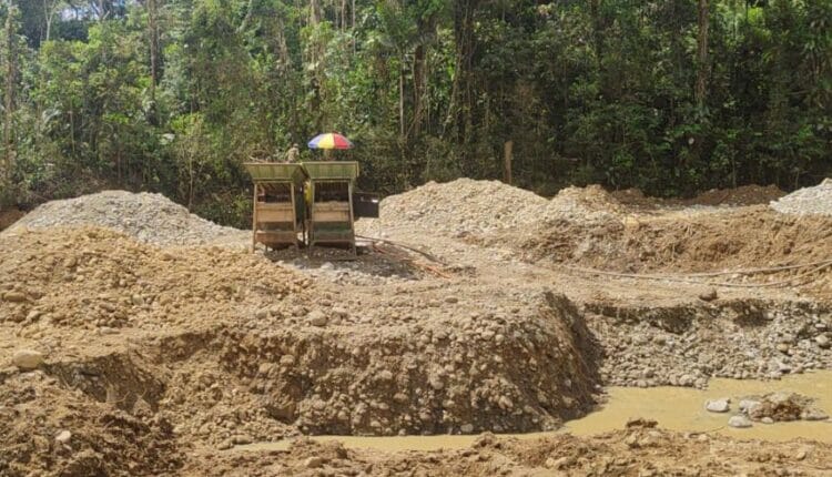 Accionar oportuno en Orellana desmanteló 12 campamentos ilegales