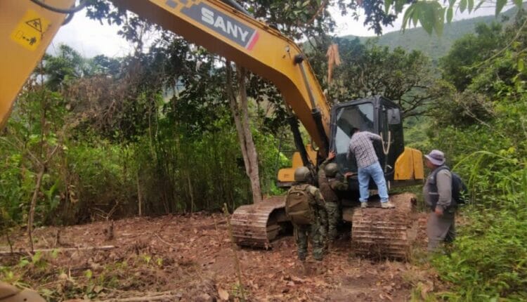 Zamora Chinchipe bajo la mira de los ilegales