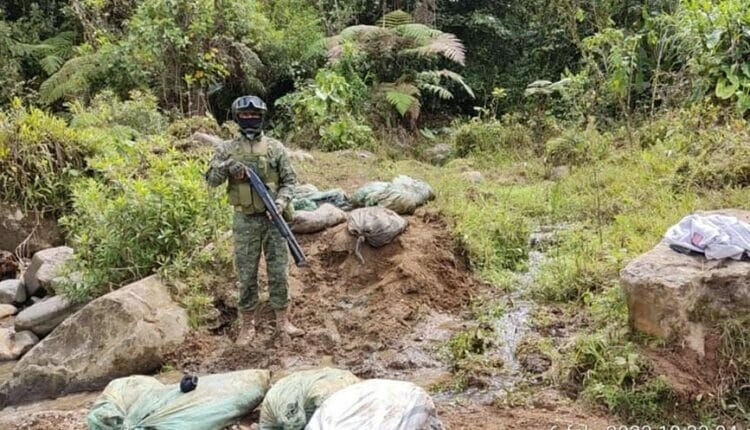 Minería ilegal no se detiene: Decomisan 200 sacos de material mineralizado