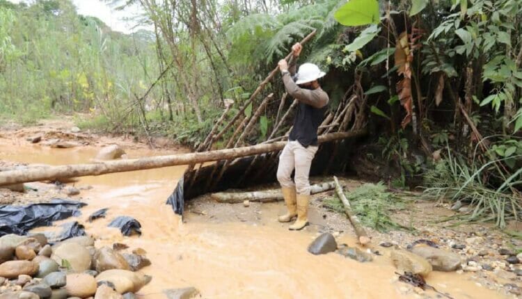 ¿Hasta cuándo minería ilegal en Napo?