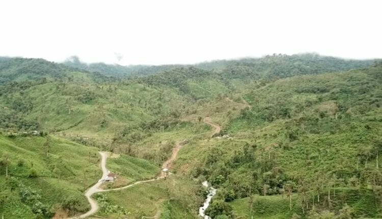 Nueva derrota para los mineros ilegales de Buenos Aires