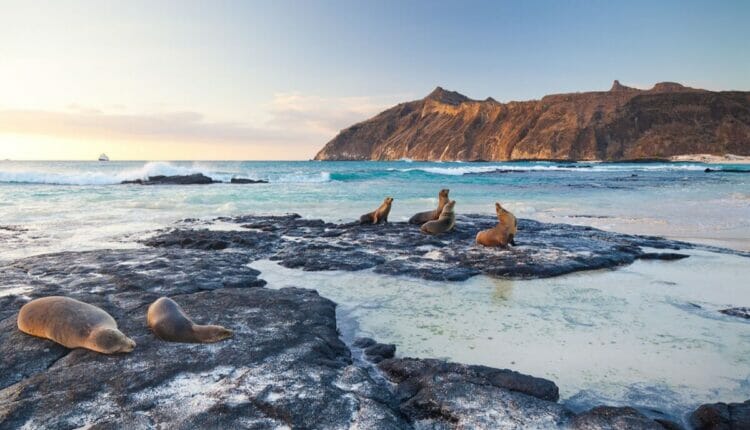 Gobierno ecuatoriano intenta ceder el control de las Islas Galápagos