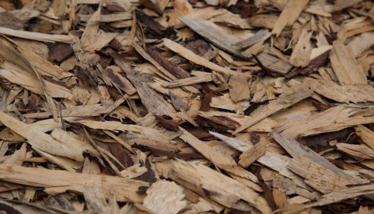 El hierro ayuda a producir grafeno a partir de virutas de madera