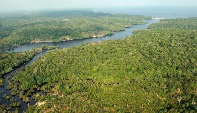 SOS Orinoco denunció la persistencia de la minería ilegal en la Amazonía venezolana