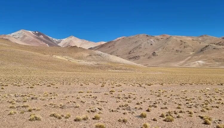 Gigante canadiense entra en la minería del cobre de San Juan: Acuerdo definitivo por La Coipita