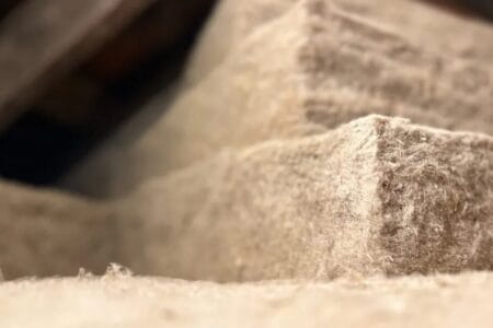 El primer material de carbono positivo en la construcción: un superaislante que captura más gas del que emite