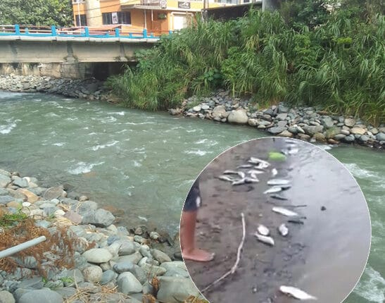 Río Puyango-Tumbes: Crisis Ambiental