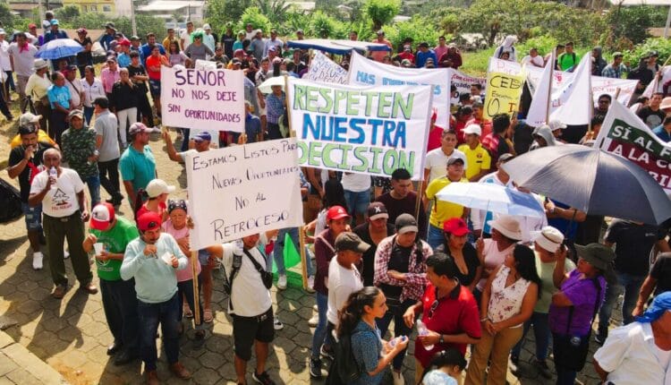 Curimaining y los recintos de las naves celebran la decisión judicial que ratifica la amplia participación en la consulta ambiental