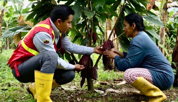 EcuaCorriente S.A. Impulsa el desarrollo productivo en la zona de influencia de la mina Mirador