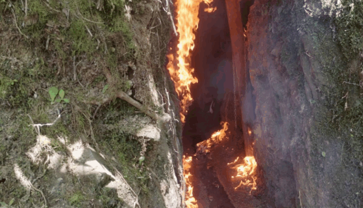 Ejército ecuatoriano desmantela campamento de minería ilegal en Imbabura