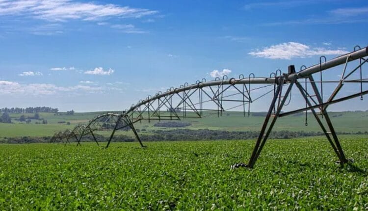 Brasil se encamina hacia su mayor producción de granos jamás registrada