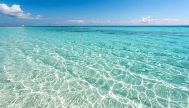 Científicos desarrollan dispositivo solar que desaliniza agua sin electricidad