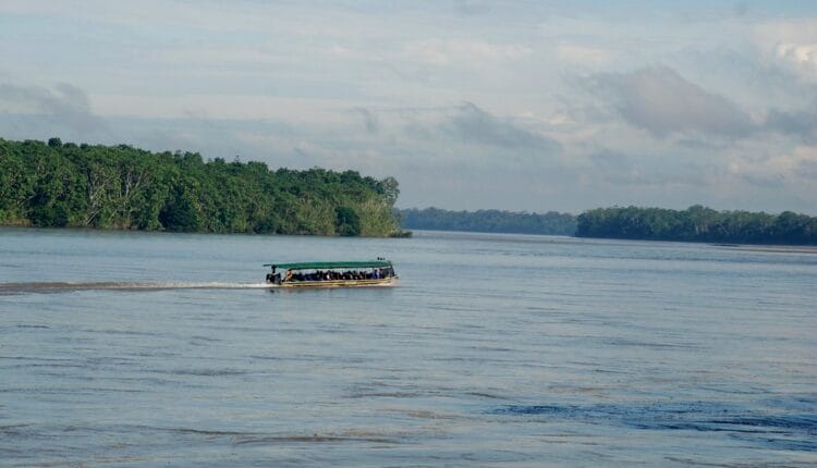 Medicina ancestral. Iquitos. Manta Manaos