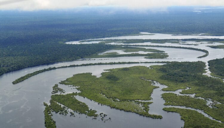 Ecuador impulsa millonario plan para blindar la Amazonía y conservar sus ecosistemas