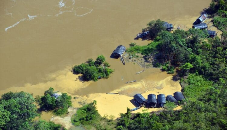 Minerales críticos: la nueva fiebre que expande la minería ilegal en la Amazonía