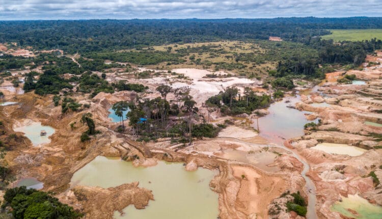 El oro desplaza a la cocaína como negocio criminal en Colombia y reaviva la violencia en zonas rurales