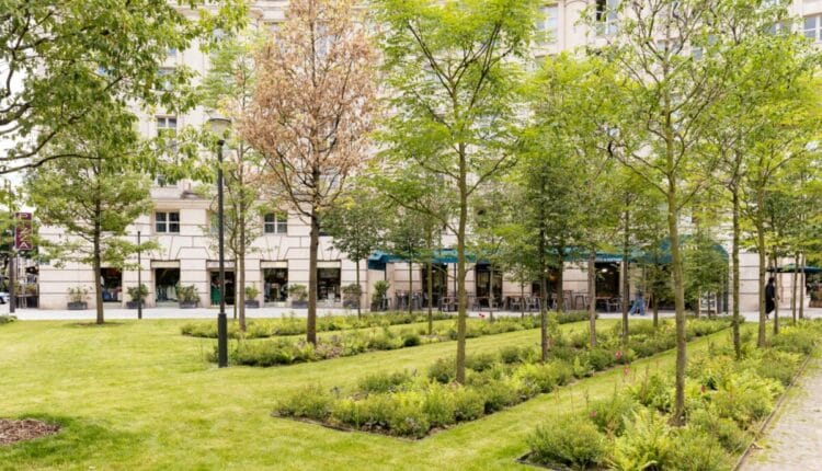 París convierte una plaza de cemento en un bosque urbano contra el cambio climático